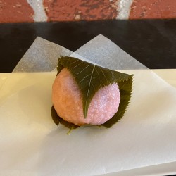 SAKURA MOCHI